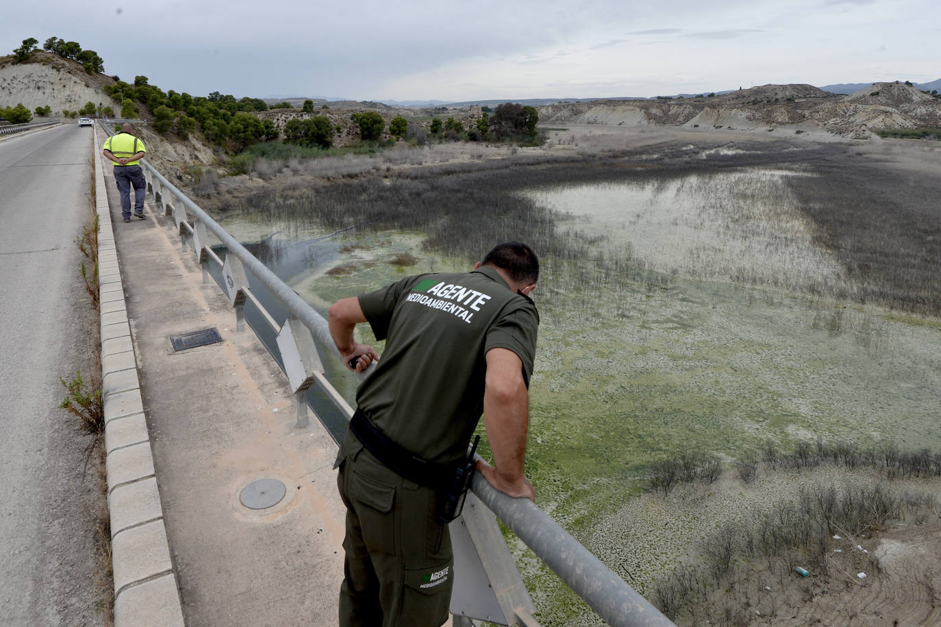 Fotos: Mueren miles de peces en el embalse de Los Rodeos