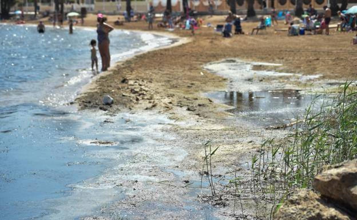 Playa de Levante, en Islas menores, donde aparecieron peces muertos. 