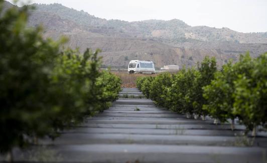 El tren Feve Cartagena-Los Nietos pasa frente a un huerto de limoneros ecológicos. Al fondo, la Sierra Minera.