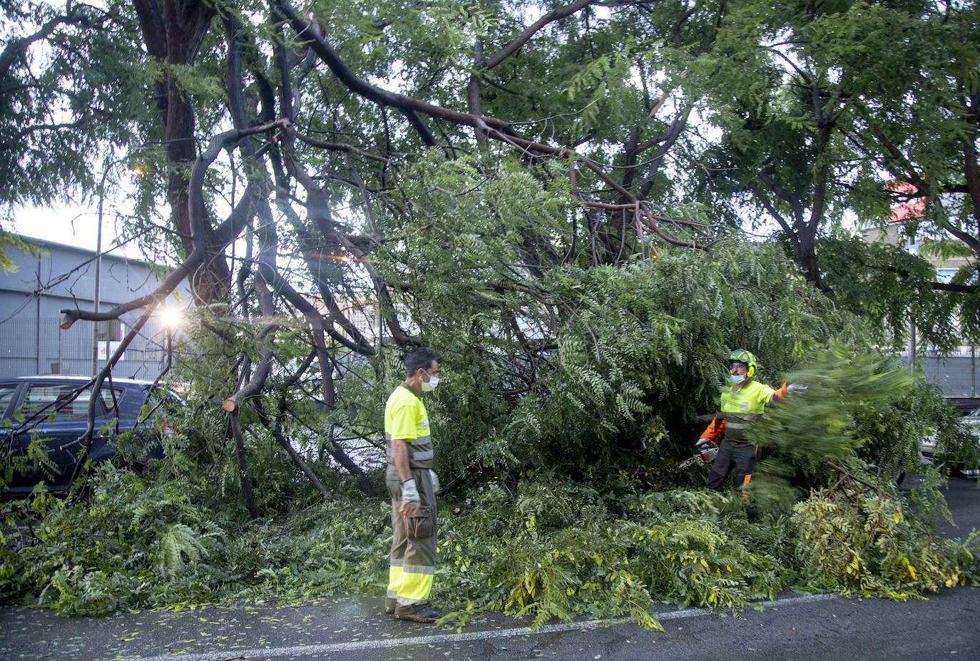 Fotos: Un fuerte aguacero derriba árboles y anega calles en Cartagena