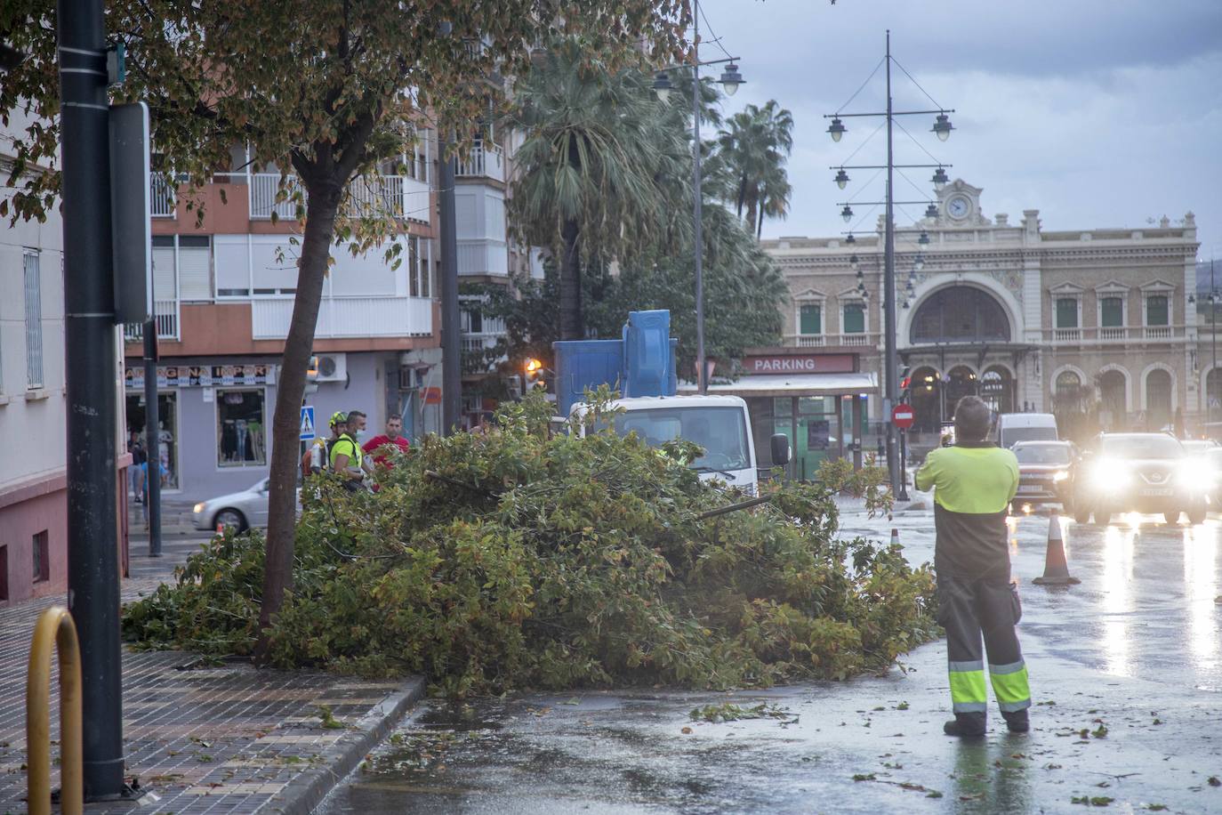 Fotos: Un fuerte aguacero derriba árboles y anega calles en Cartagena