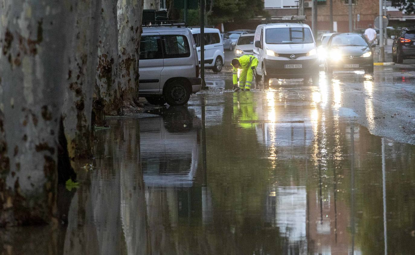 Fotos: Un fuerte aguacero derriba árboles y anega calles en Cartagena