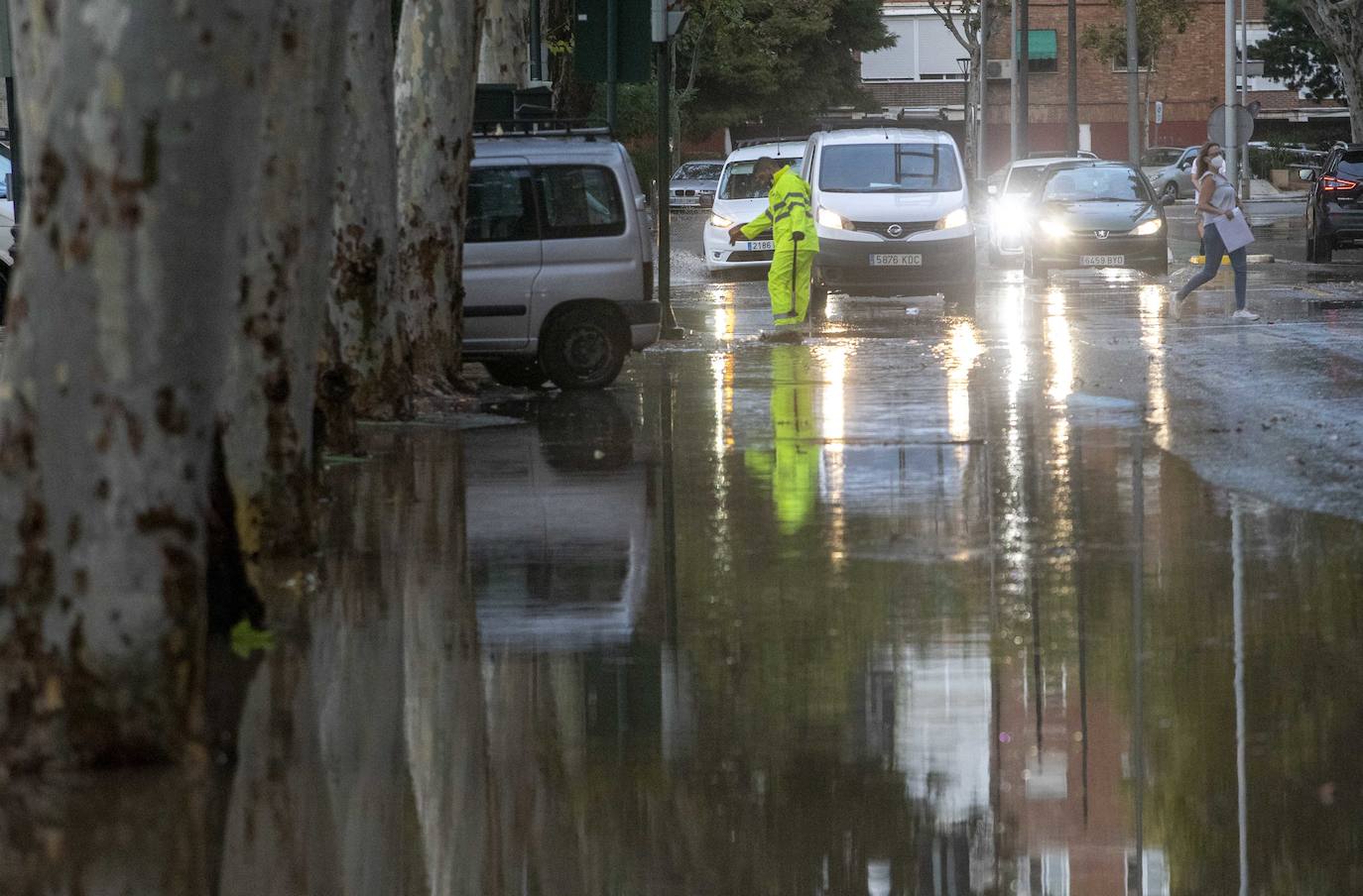 Fotos: Un fuerte aguacero derriba árboles y anega calles en Cartagena