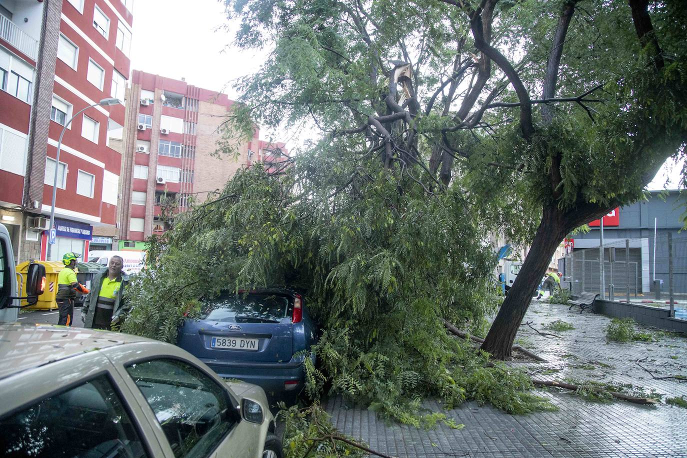 Fotos: Un fuerte aguacero derriba árboles y anega calles en Cartagena