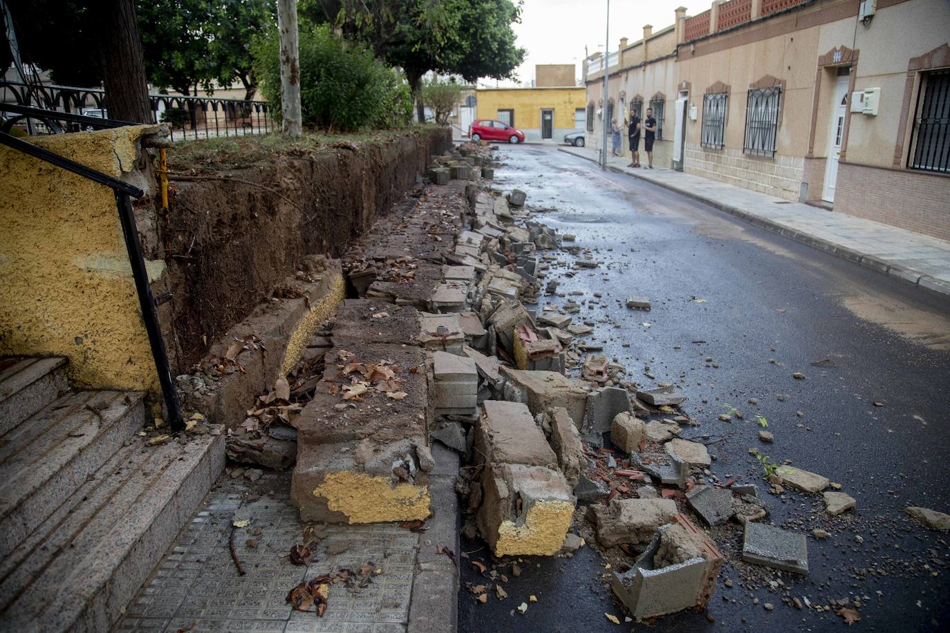 Fotos: Un fuerte aguacero derriba árboles y anega calles en Cartagena
