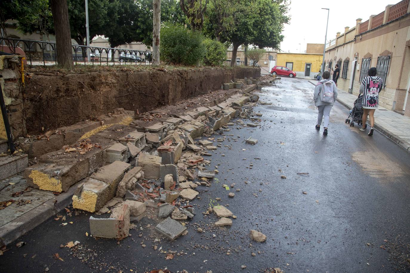 Fotos: Un fuerte aguacero derriba árboles y anega calles en Cartagena