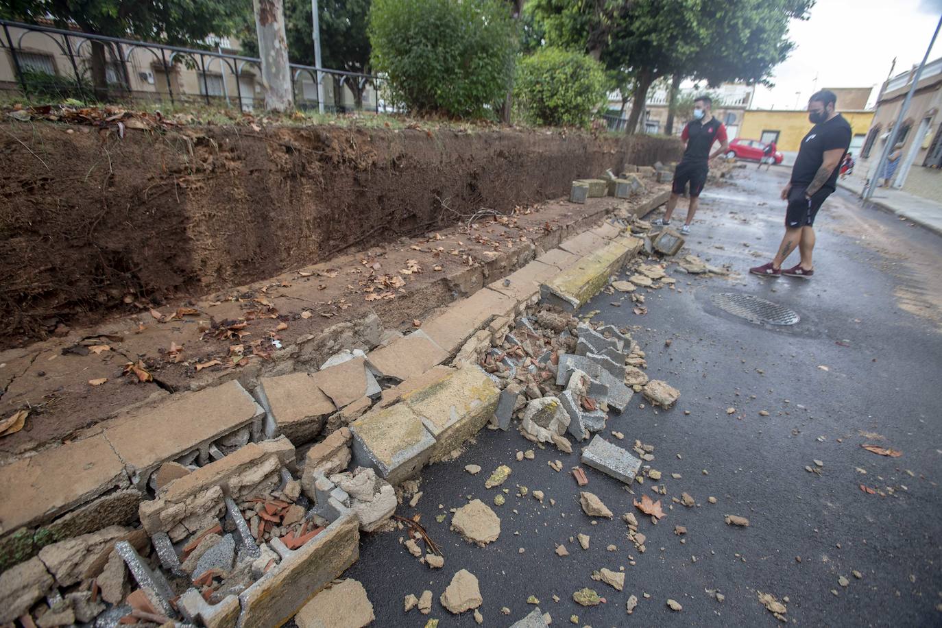 Fotos: Un fuerte aguacero derriba árboles y anega calles en Cartagena
