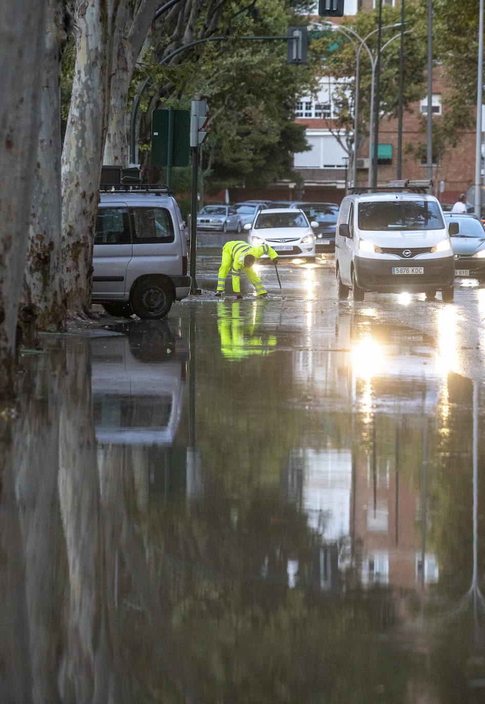 Fotos: Un fuerte aguacero derriba árboles y anega calles en Cartagena