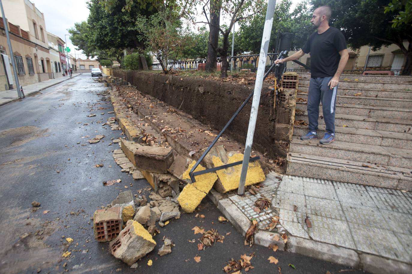 Fotos: Un fuerte aguacero derriba árboles y anega calles en Cartagena