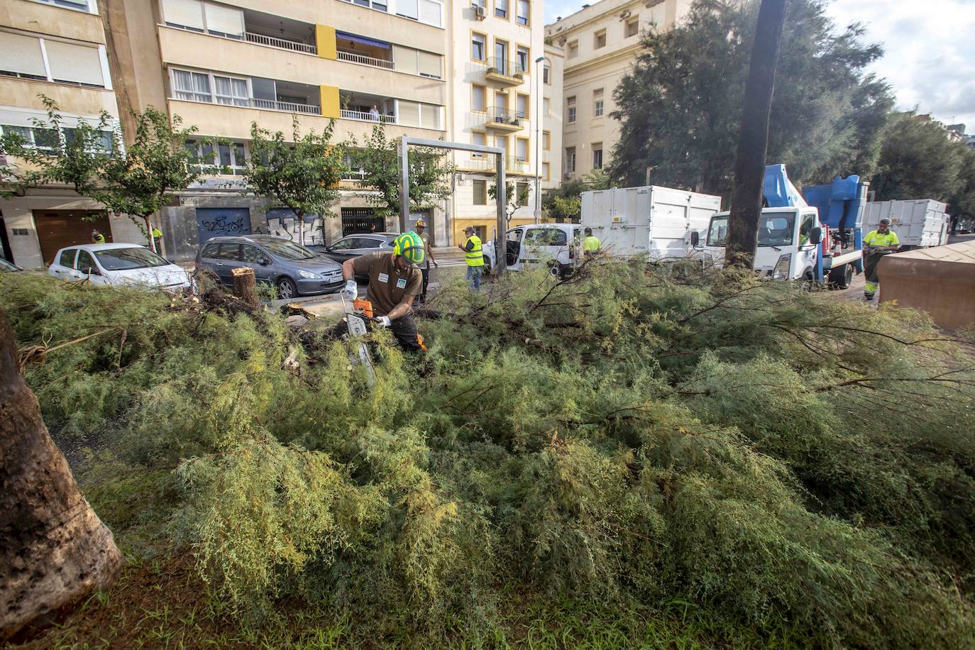 Fotos: Un fuerte aguacero derriba árboles y anega calles en Cartagena