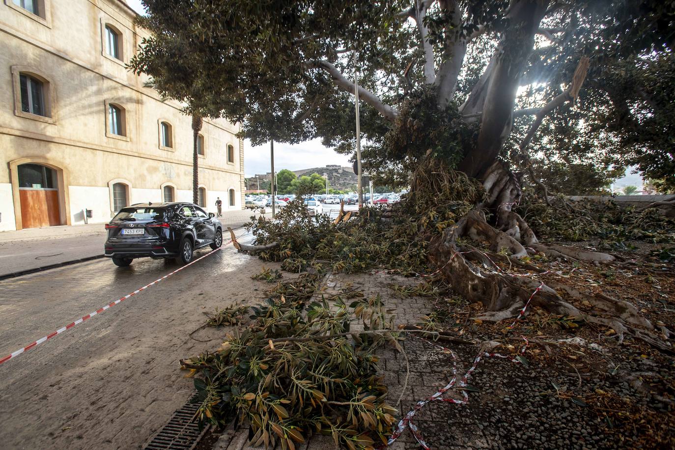 Fotos: Un fuerte aguacero derriba árboles y anega calles en Cartagena