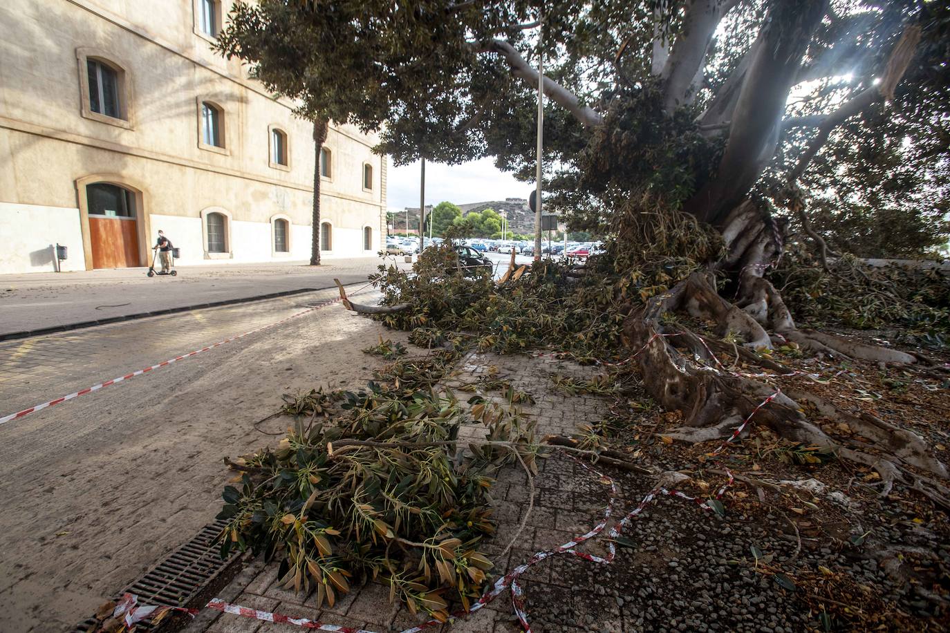 Fotos: Un fuerte aguacero derriba árboles y anega calles en Cartagena