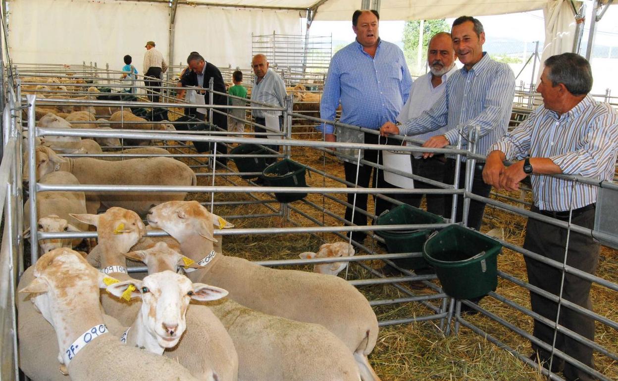 Imagen de archivo de una edición anterior de la Feria del Cordero Segureño.