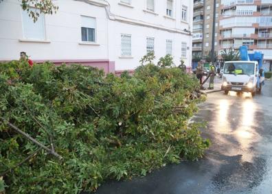 Imagen secundaria 1 - Arriba, la rambla de Benipila, junto al Cartagonova. Abajo, ramas de árbol derribadas por el temporal en Cartagena.