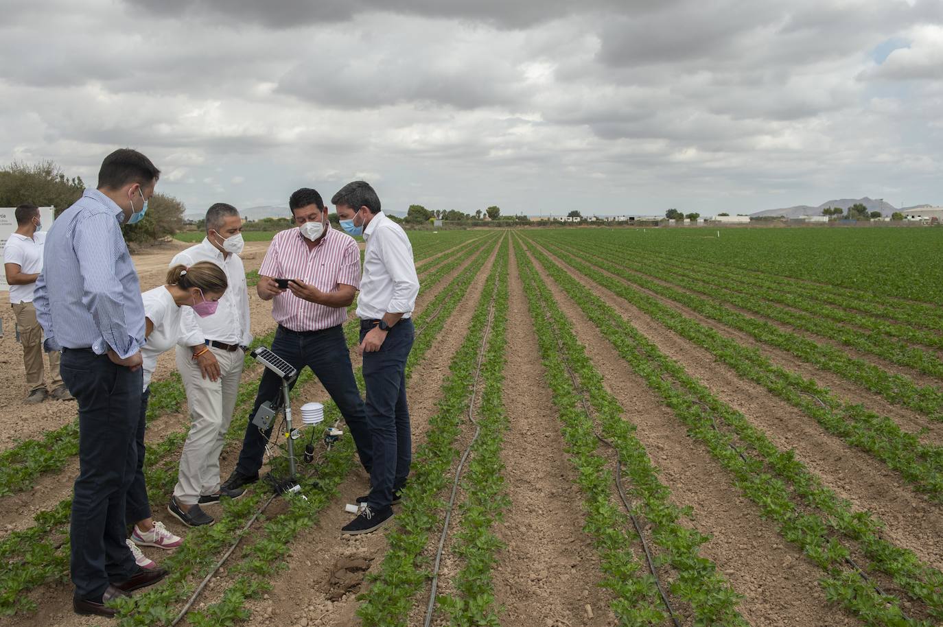 Fotos: Más de 200 sondas controlan el riego para reducir el impacto en el Mar Menor