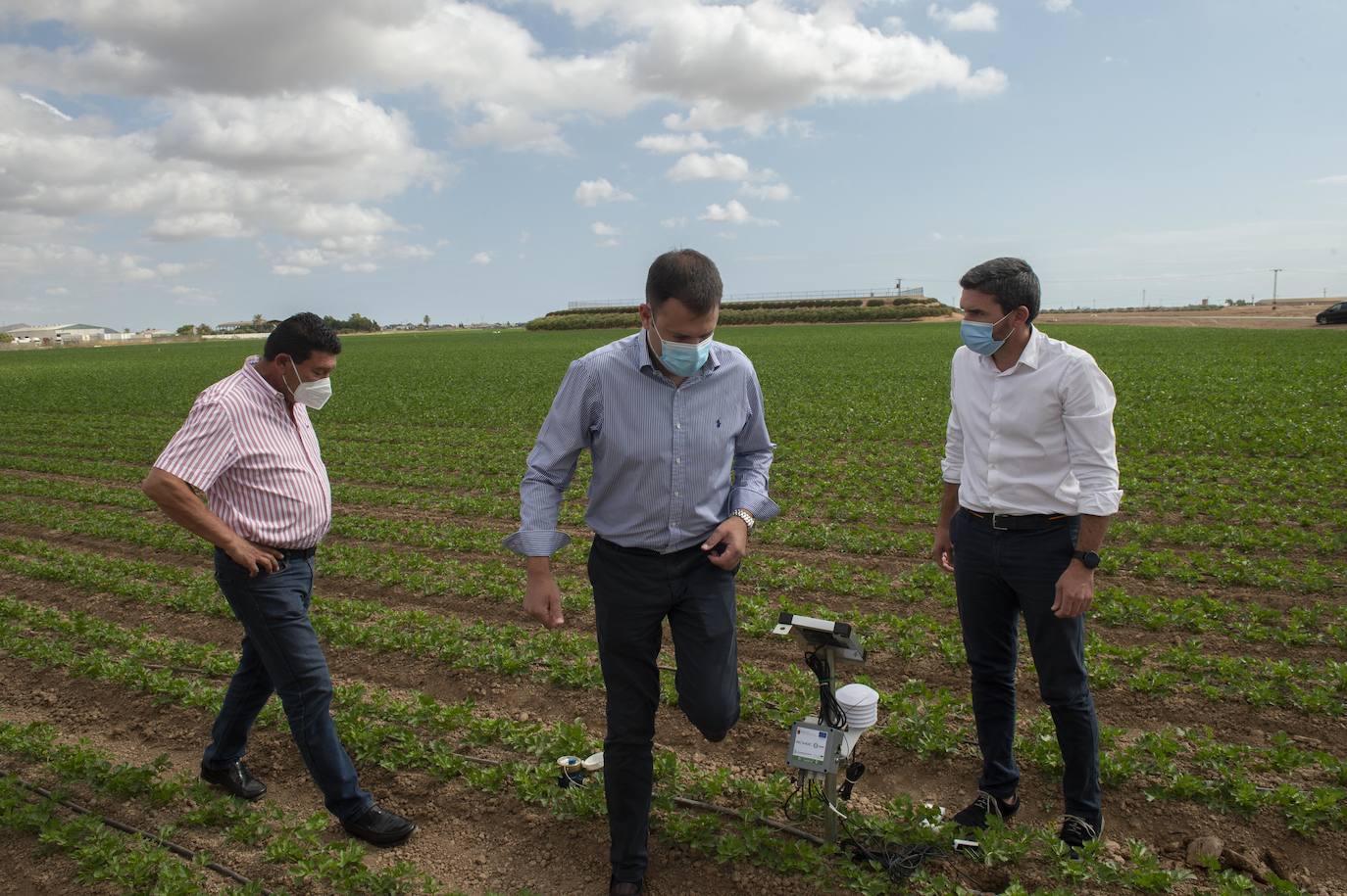 Fotos: Más de 200 sondas controlan el riego para reducir el impacto en el Mar Menor