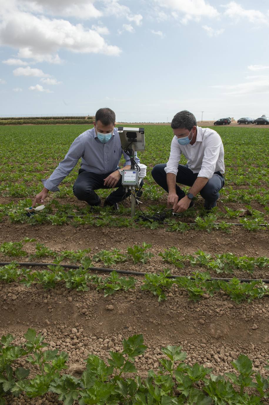 Fotos: Más de 200 sondas controlan el riego para reducir el impacto en el Mar Menor