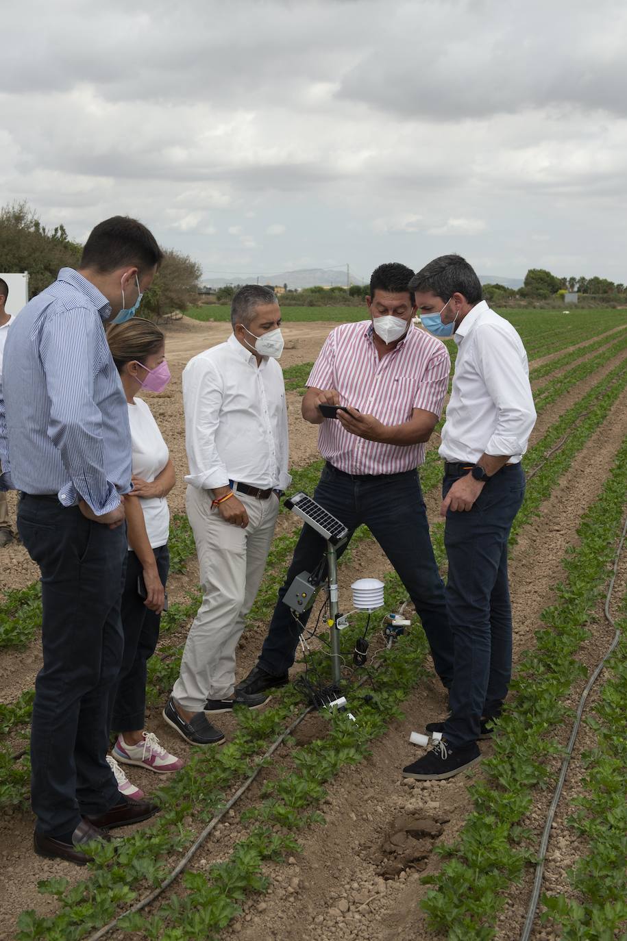 Fotos: Más de 200 sondas controlan el riego para reducir el impacto en el Mar Menor