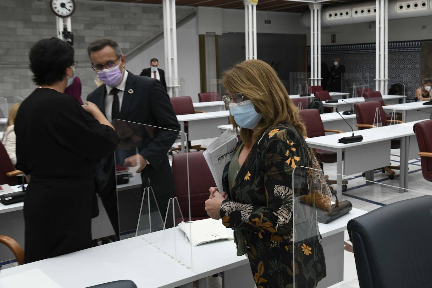 Fotos: El servicio ferroviario se discute en le Pleno de la Asamblea Regional