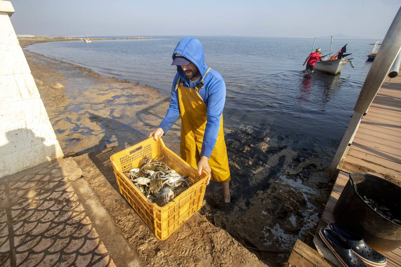 Fotos: La anoxia del Mar Menor que se sufre en tierra