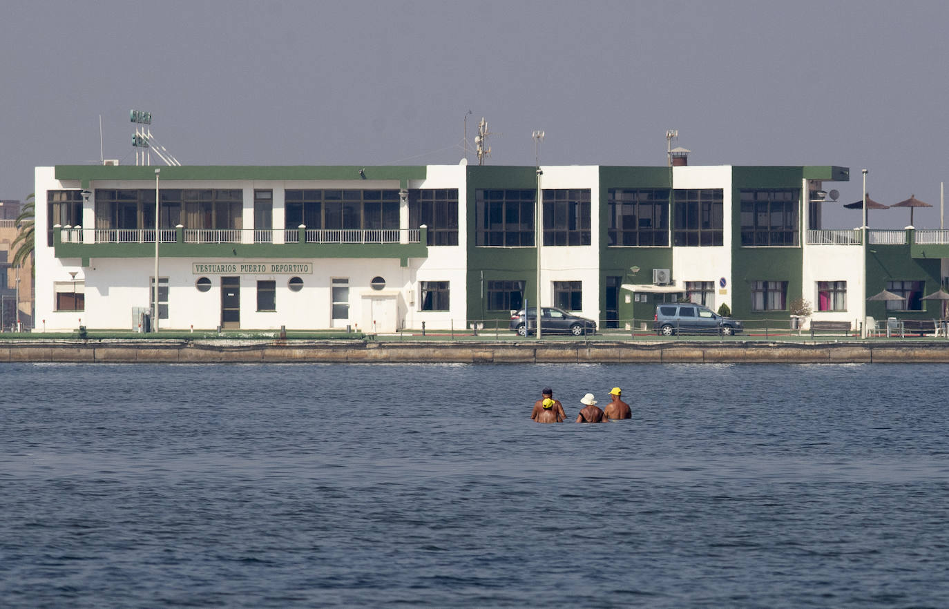 Fotos: La anoxia del Mar Menor que se sufre en tierra