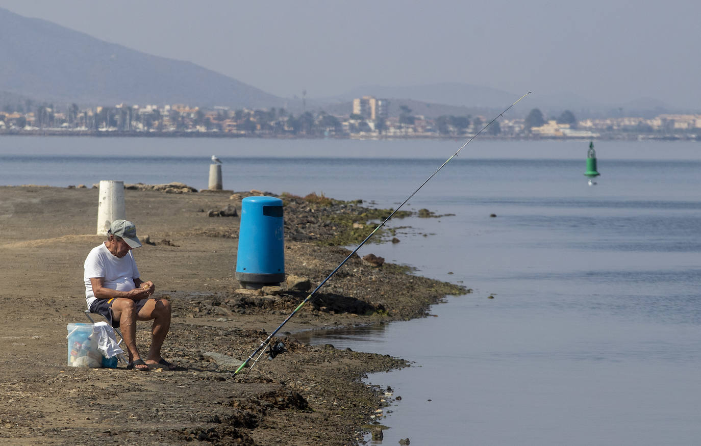 Fotos: La anoxia del Mar Menor que se sufre en tierra