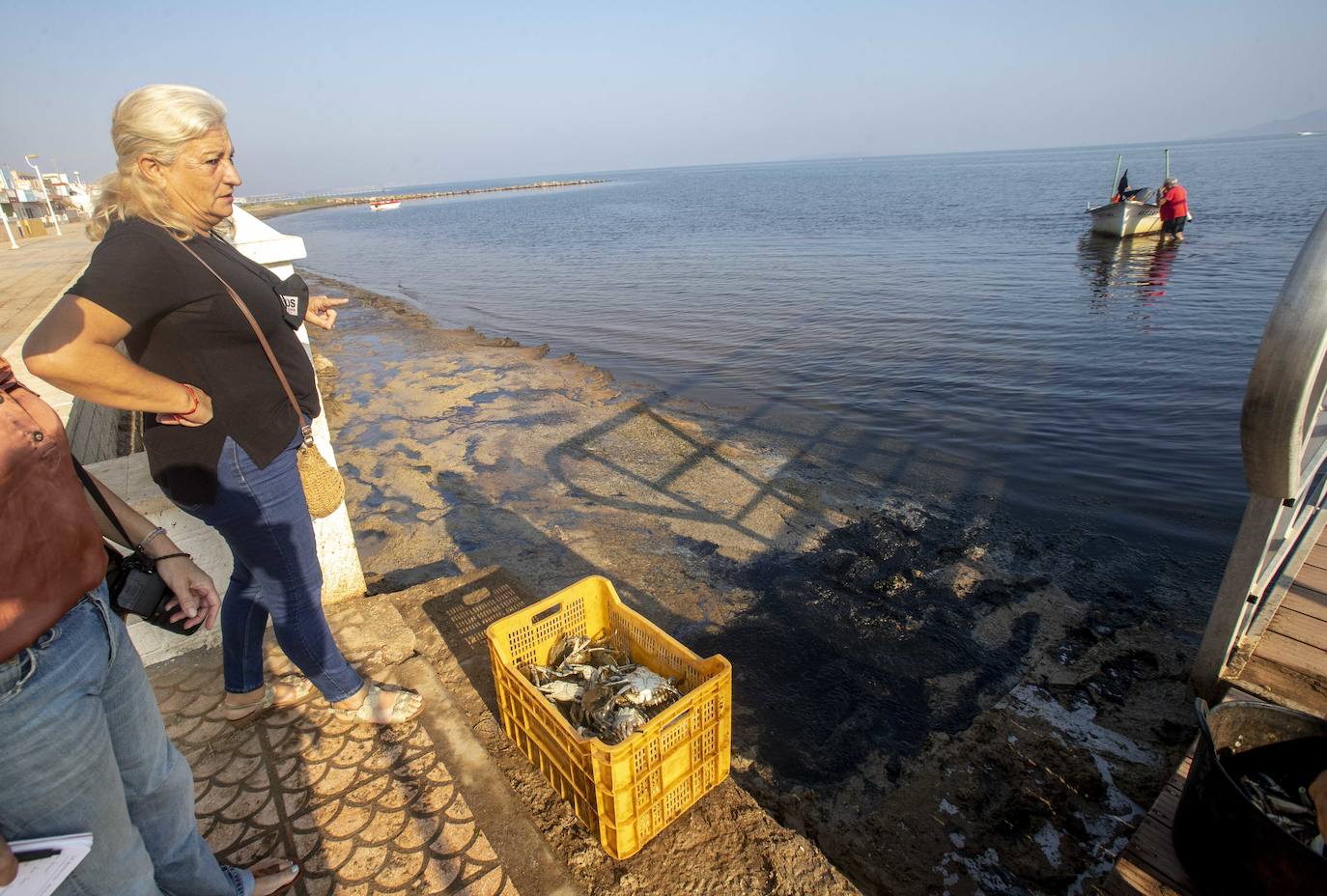 Fotos: La anoxia del Mar Menor que se sufre en tierra