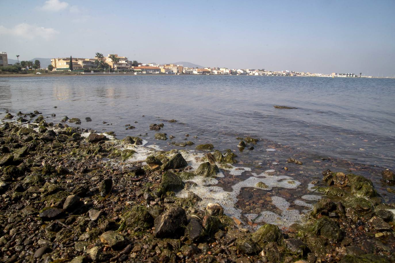 Fotos: La anoxia del Mar Menor que se sufre en tierra