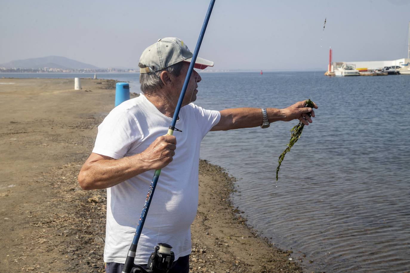 Fotos: La anoxia del Mar Menor que se sufre en tierra