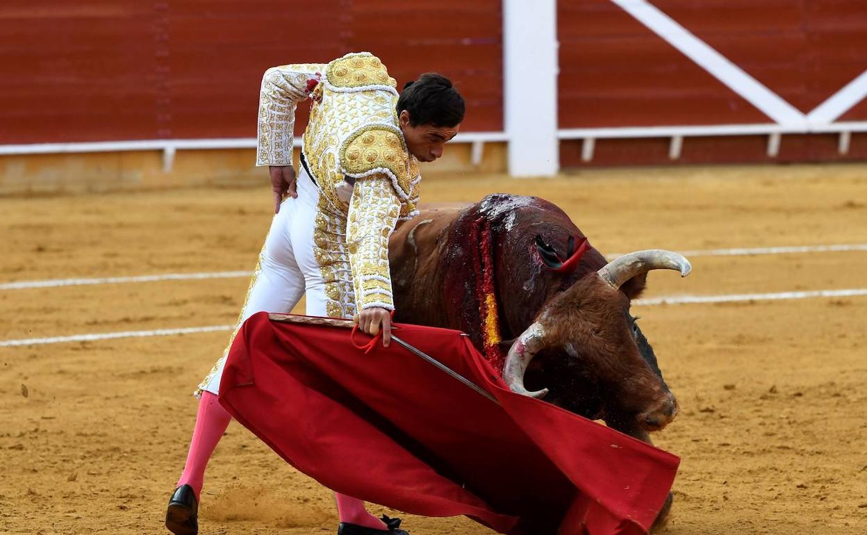 El diestro Paco Ureña da un pase con la muleta, durante la corrida celebrada en Roquetas de Mar este sábado.