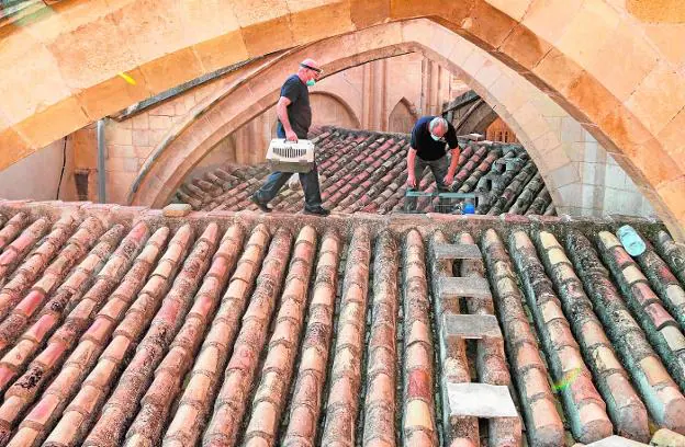 Los operarios municipales revisan las capturas del día en una de las jaulas de los tejados laterales de la Catedral. 