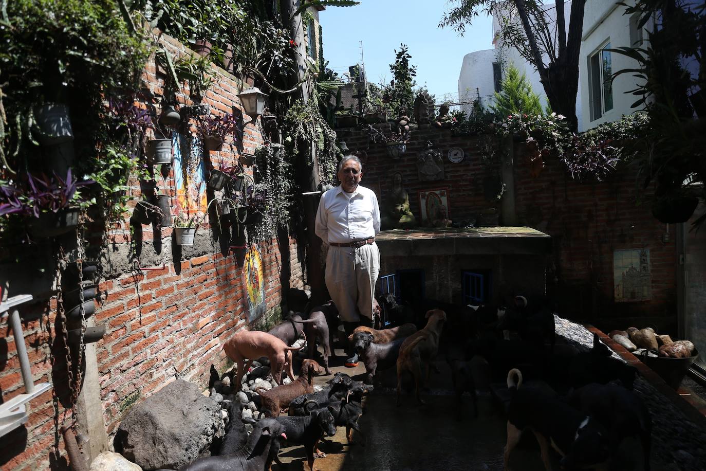 Fotos: De guía de los muertos a raza de moda