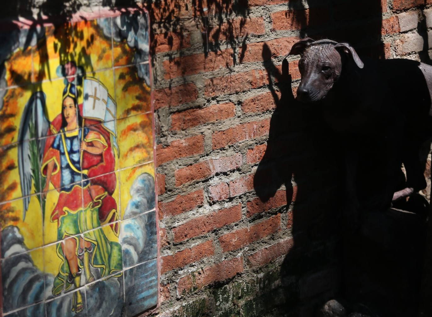 Fotos: De guía de los muertos a raza de moda