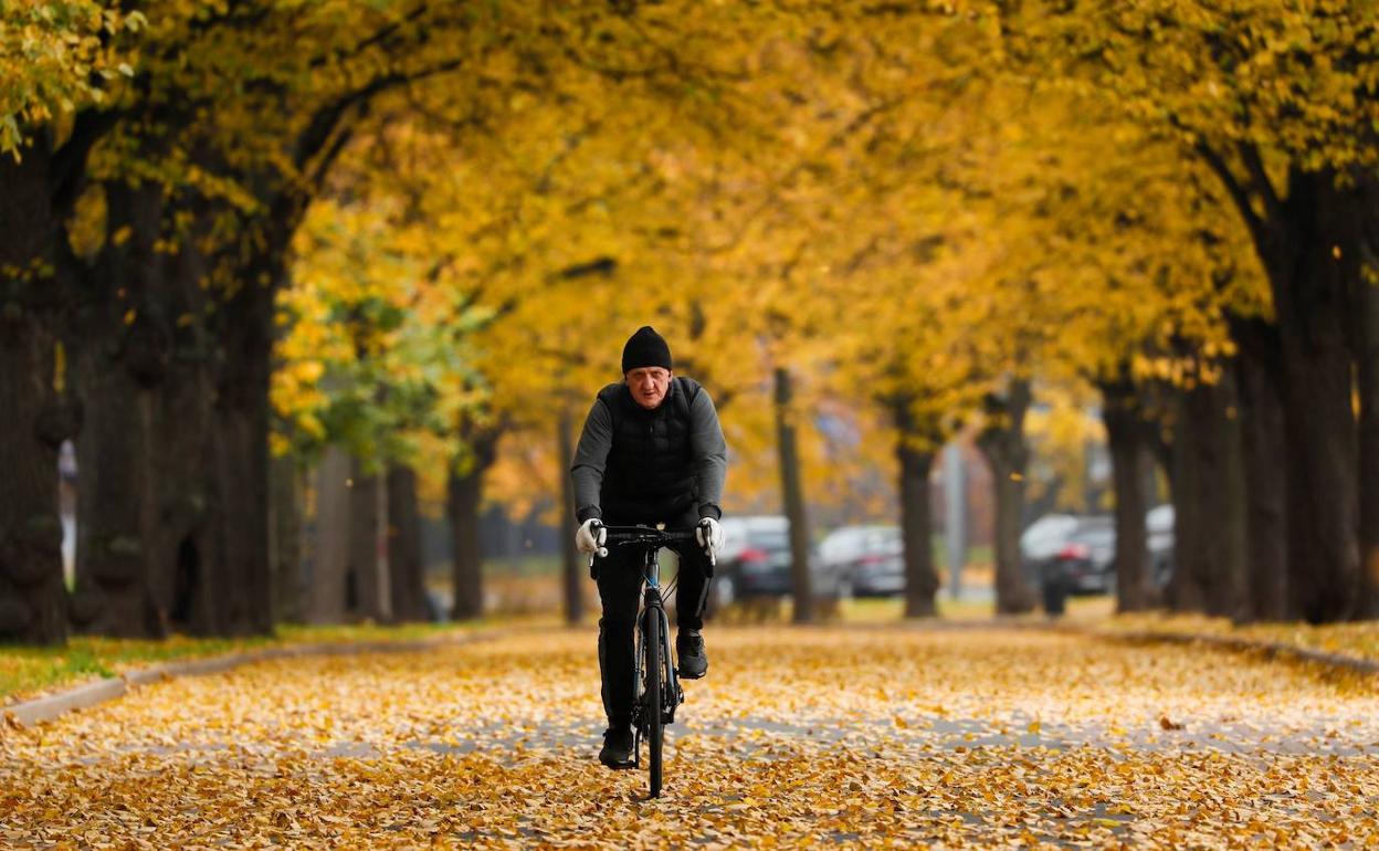Un ciclista circula en otoño por una carretera cubierta de hojas caídas.