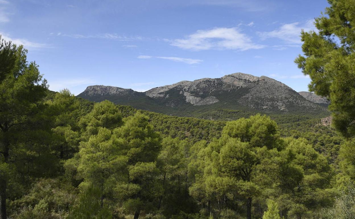 Sierra Espuña, en una imagen de archivo.