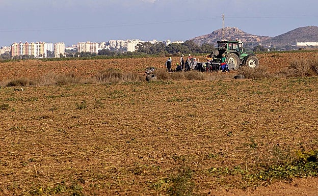El Ministerio endurecerá por decreto las medidas para atajar la contaminación agrícola
