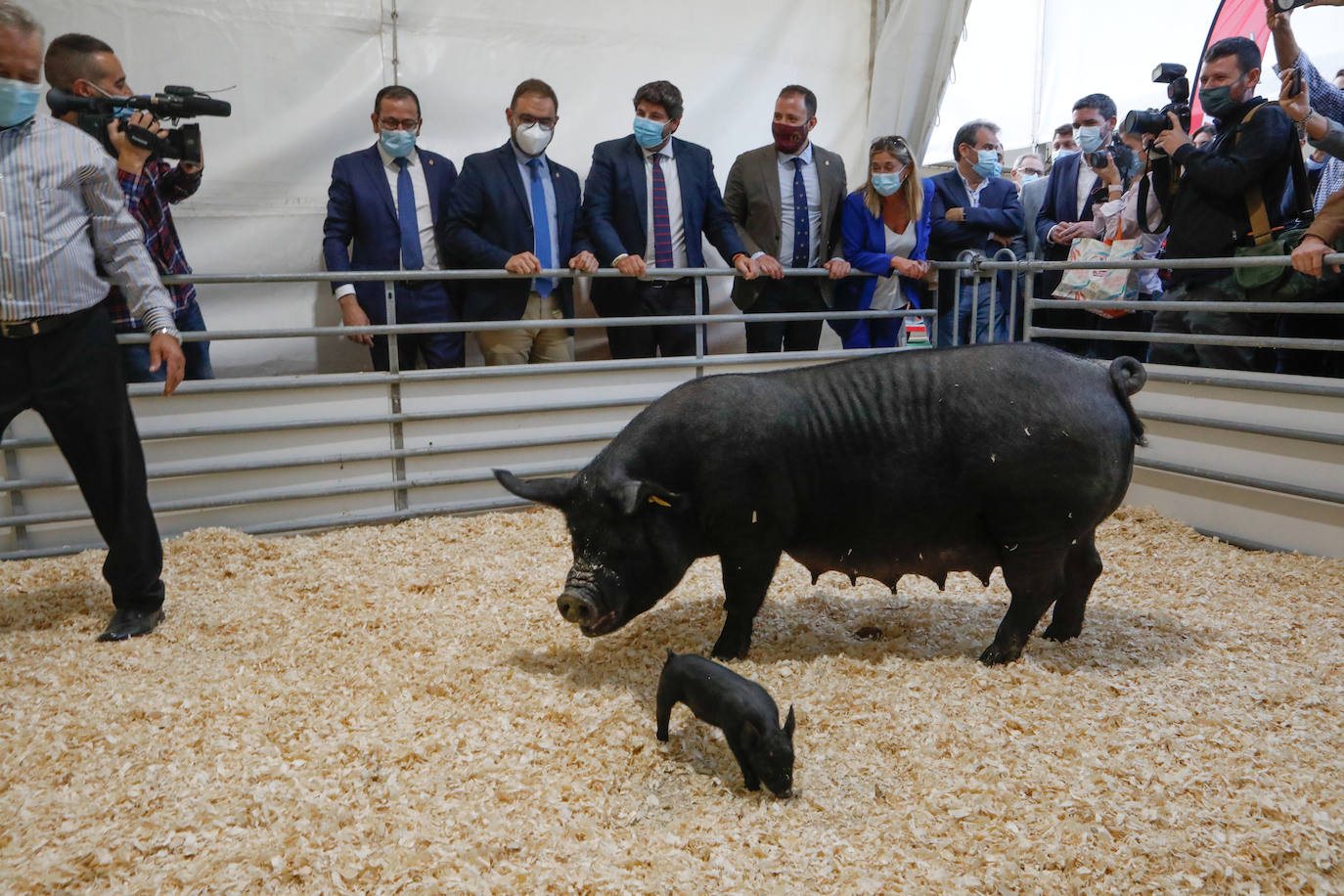 Fotos: Sepor abre su 54 edición