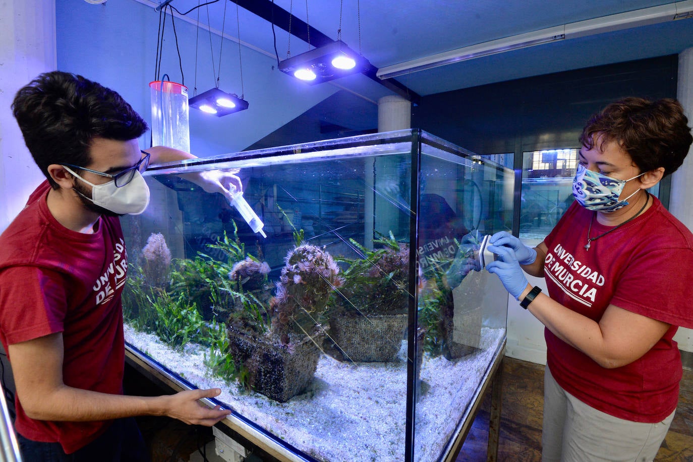 Fotos: El Acuario de la Universidad de Murcia vuelve a abrir sus puertas