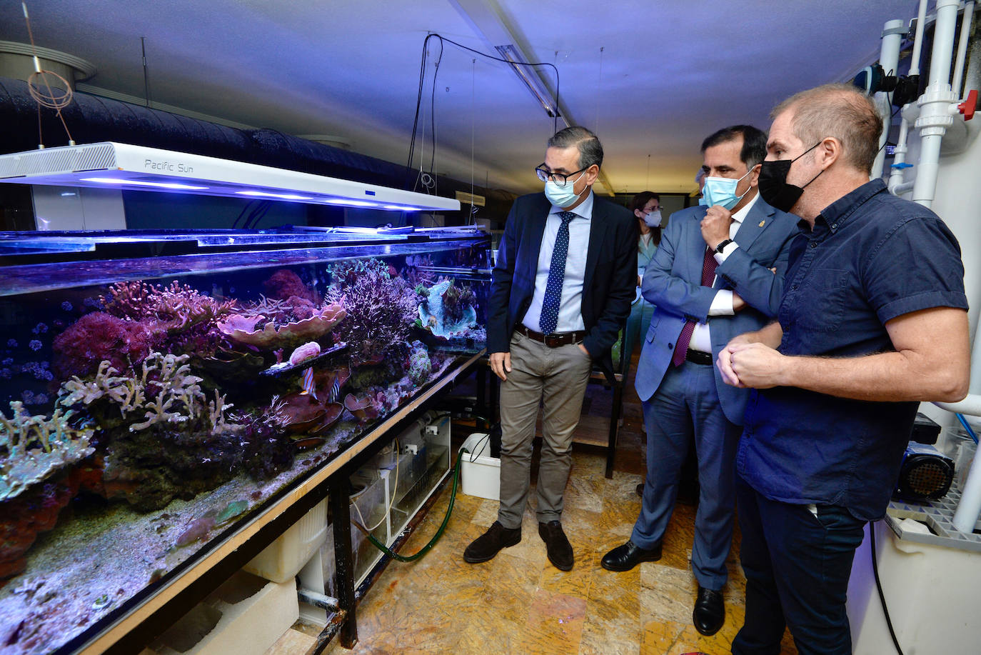 Fotos: El Acuario de la Universidad de Murcia vuelve a abrir sus puertas
