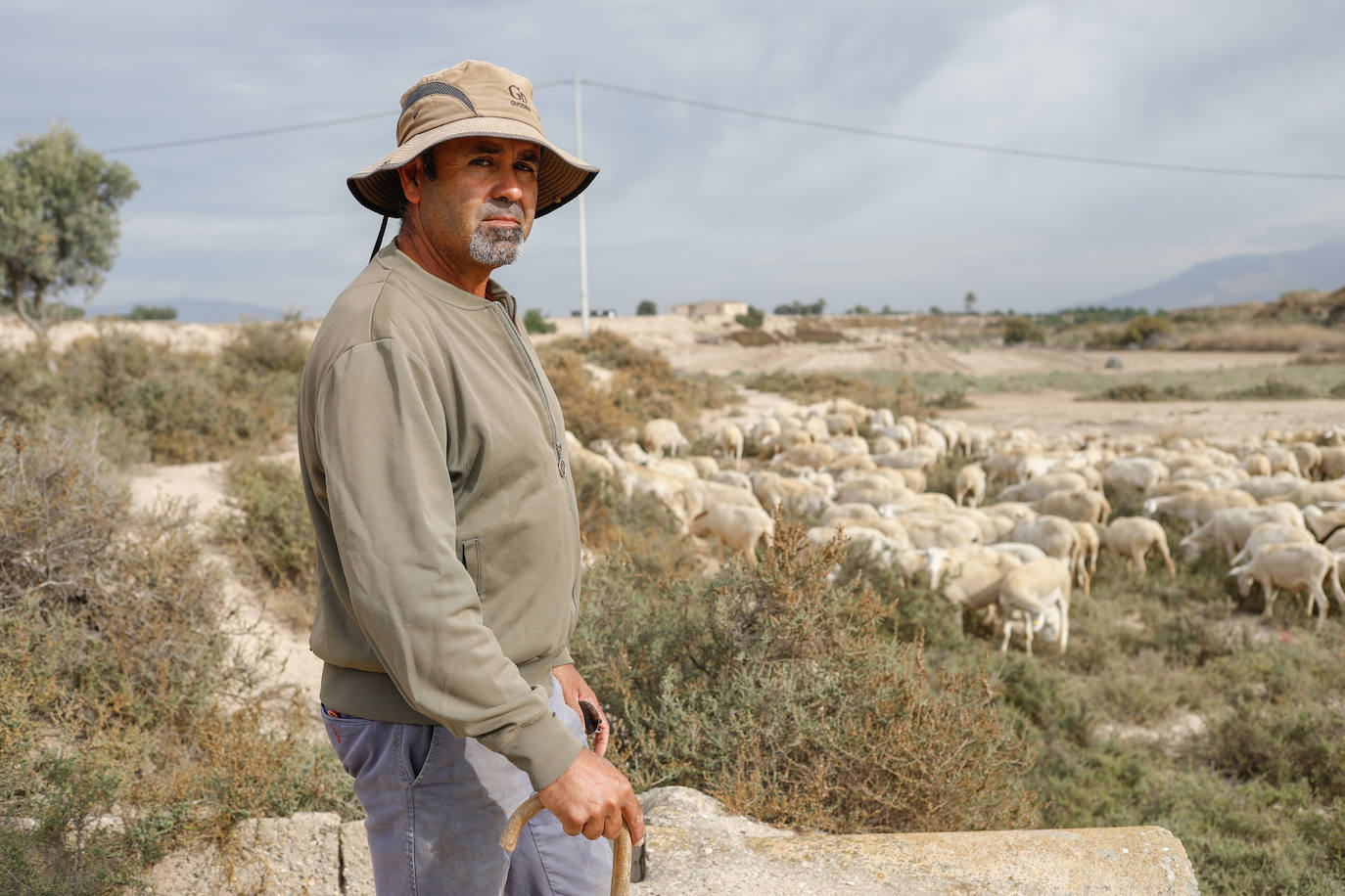 Fotos: Los pastores de la Región vuelven a sacar sus rebaños