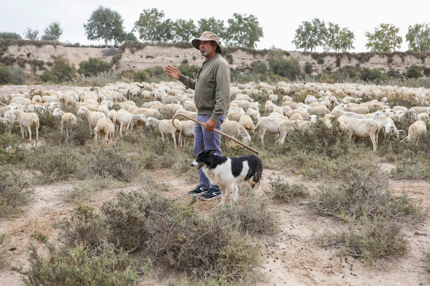 Fotos: Los pastores de la Región vuelven a sacar sus rebaños