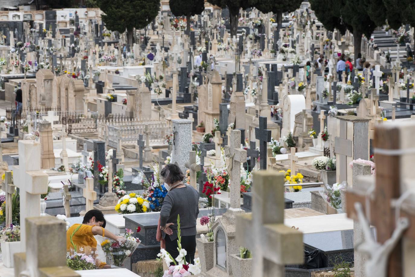 Fotos: Día de Todos los Santos en el cementerio de Nuestra Señora de los Remedios de Cartagena
