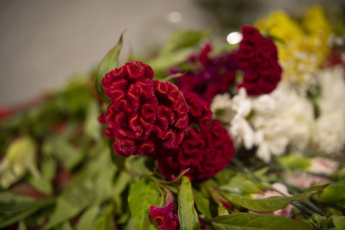 Fotos: En la huerta de Murcia perdura la tradición de adecentar las alcobas en el Día de Todos los Santos