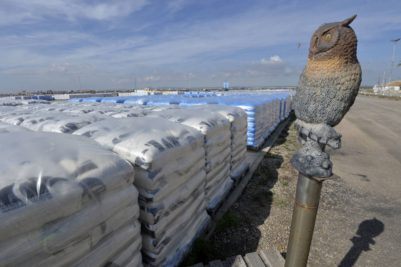 Fotos: Crecen las montañas blancas de sal del Mar Menor