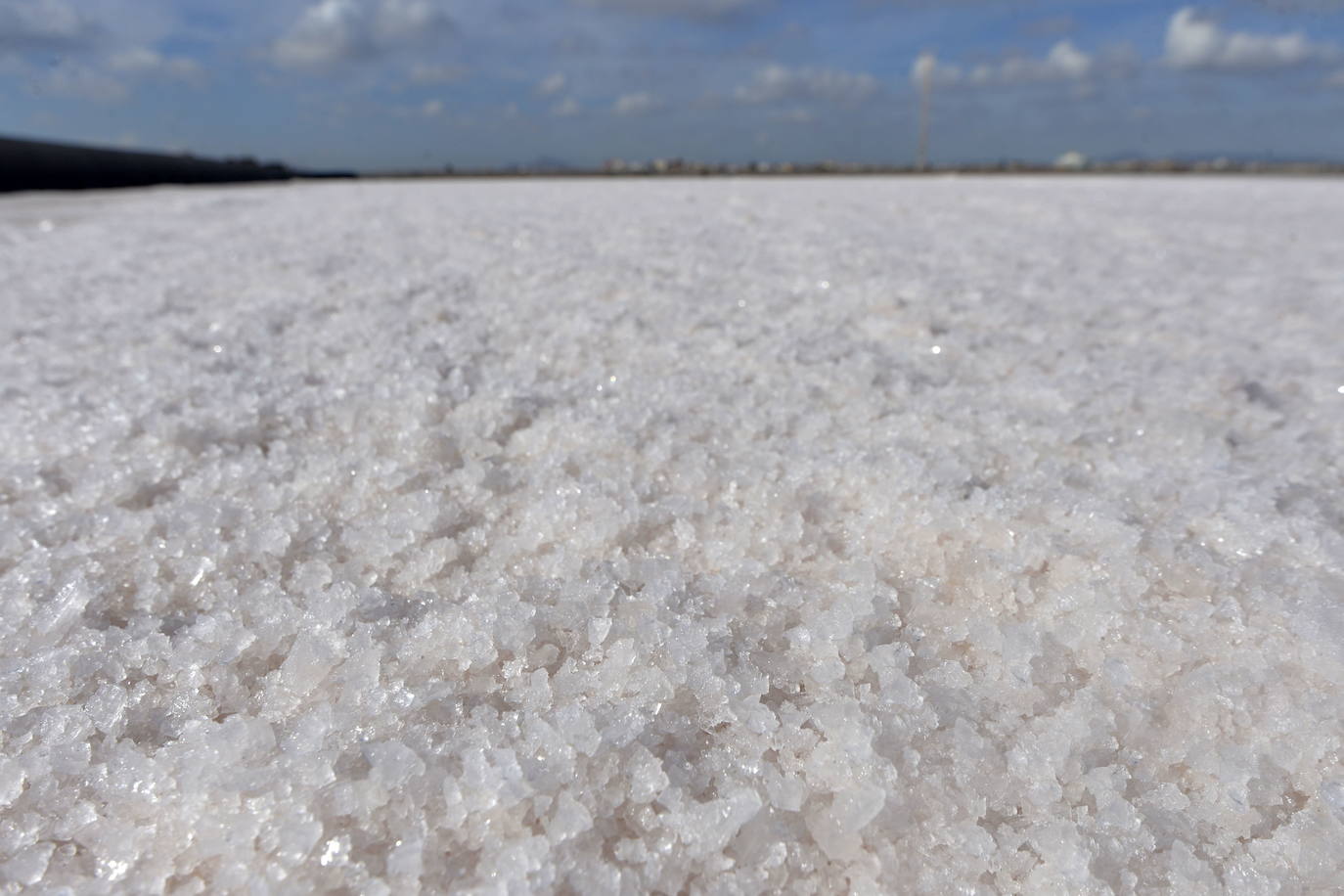 Fotos: Crecen las montañas blancas de sal del Mar Menor