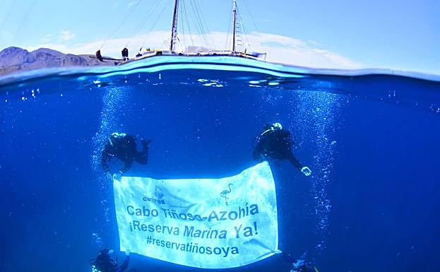 Imagen histórica de una reivindicación para una reserva marina. 