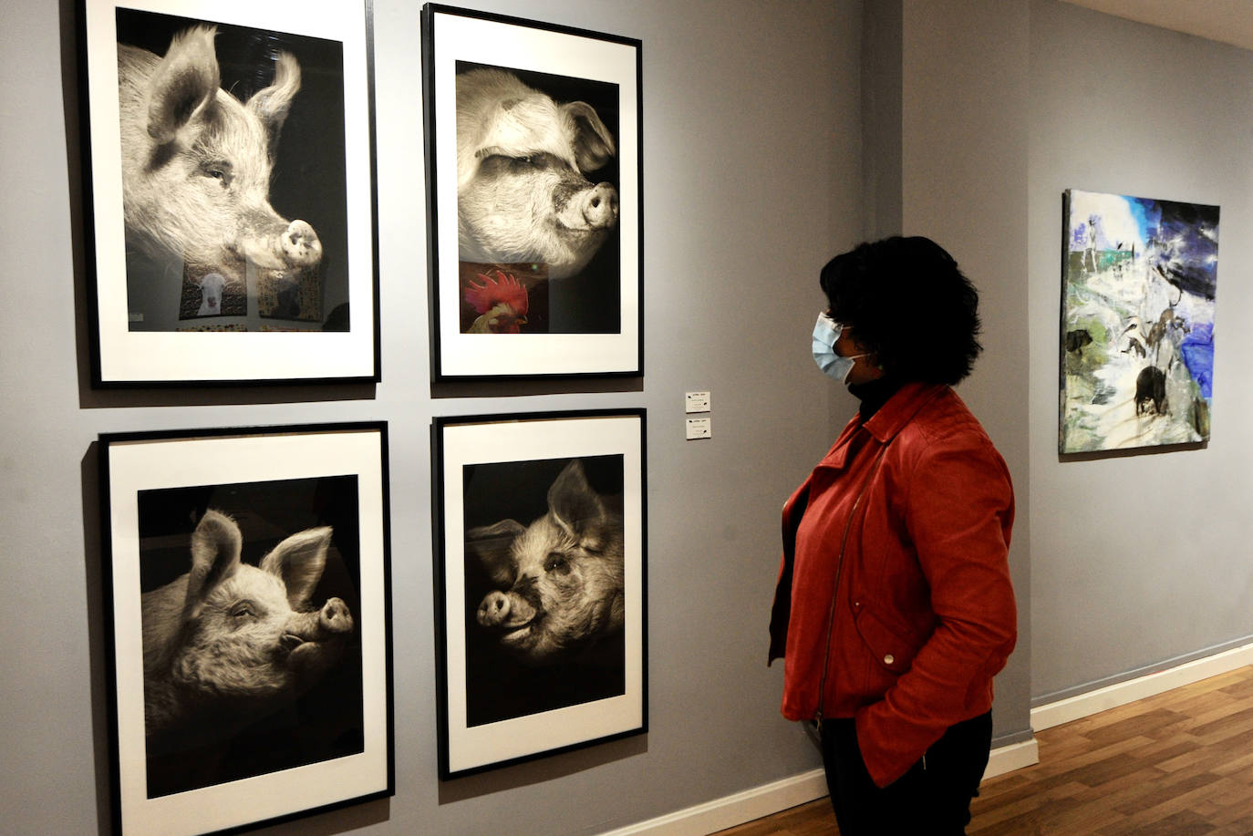 Fotos: ‘Rebelión en la granja’ vuelve a sacudir las conciencias