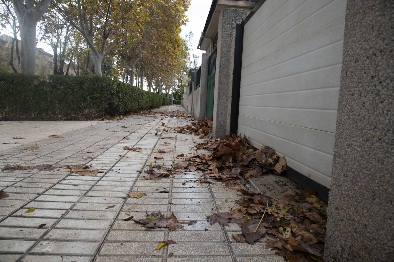 Fotos: El temporal desborda Cartagena y provoca decenas de achiques y rescates