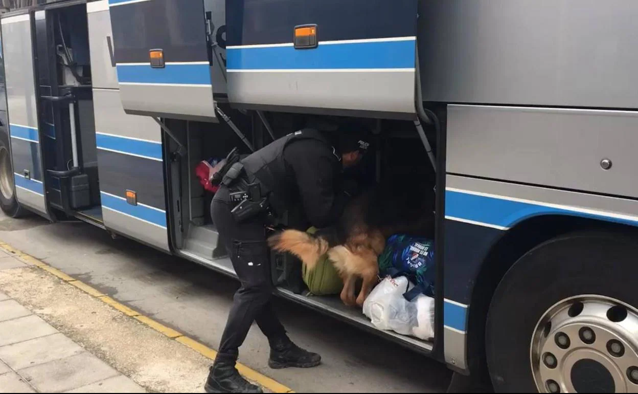 Momento del registro del autobús.