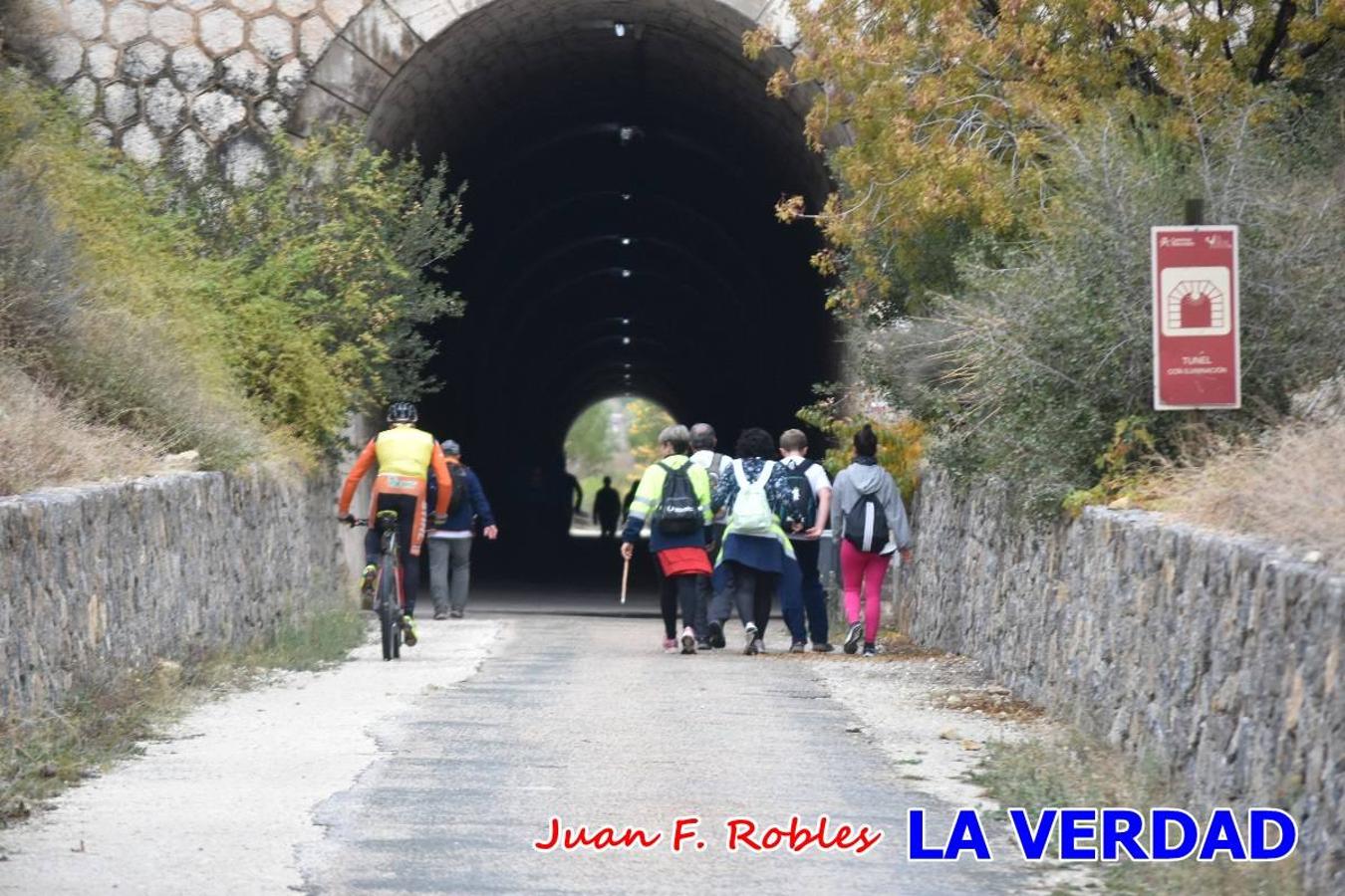 Unas 200 personas de Granja de Rocamora, Abanilla y Ulea finalizaron ayer el recorrido, a pide, de los 120 kilómetros que separan la localidad alicantina de Caravaca de la Cruz. Los cuatro municipios comparten la devoción a sendos Lignum Crucis que se veneran en cada una de las localidades. Ayer recorrieron la última etapa, desde Bullas hasta basílica de la Vera Cruz en una ceremonia oficiada por el rector, Emilio Sánchez, y en la que estuvieron presentes los representantes de las instituciones religiosas que organizaban la peregrinación y una representación de los ocho Ayuntamientos que atraviesa este camino.